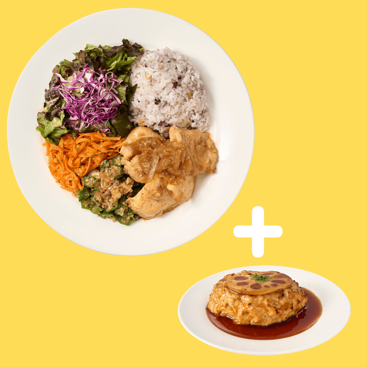 05_生姜焼き_ハンバーグPLATE